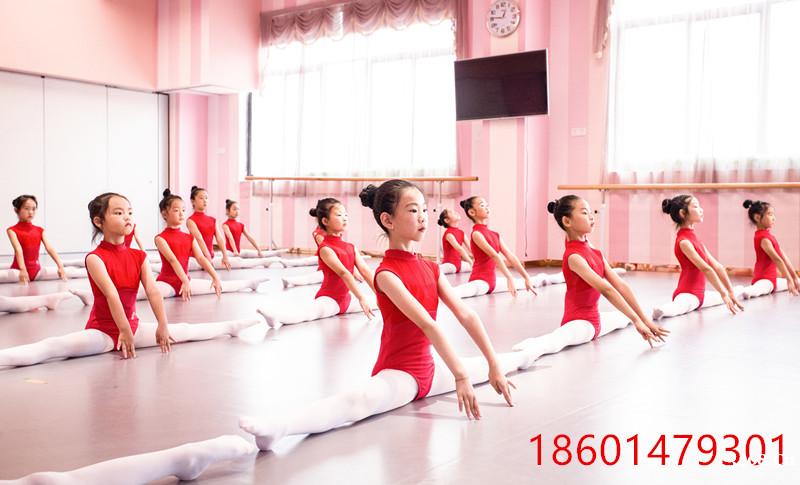 苏州少儿舞蹈艺术培训班三六六教育青少年民族舞兴趣特长班